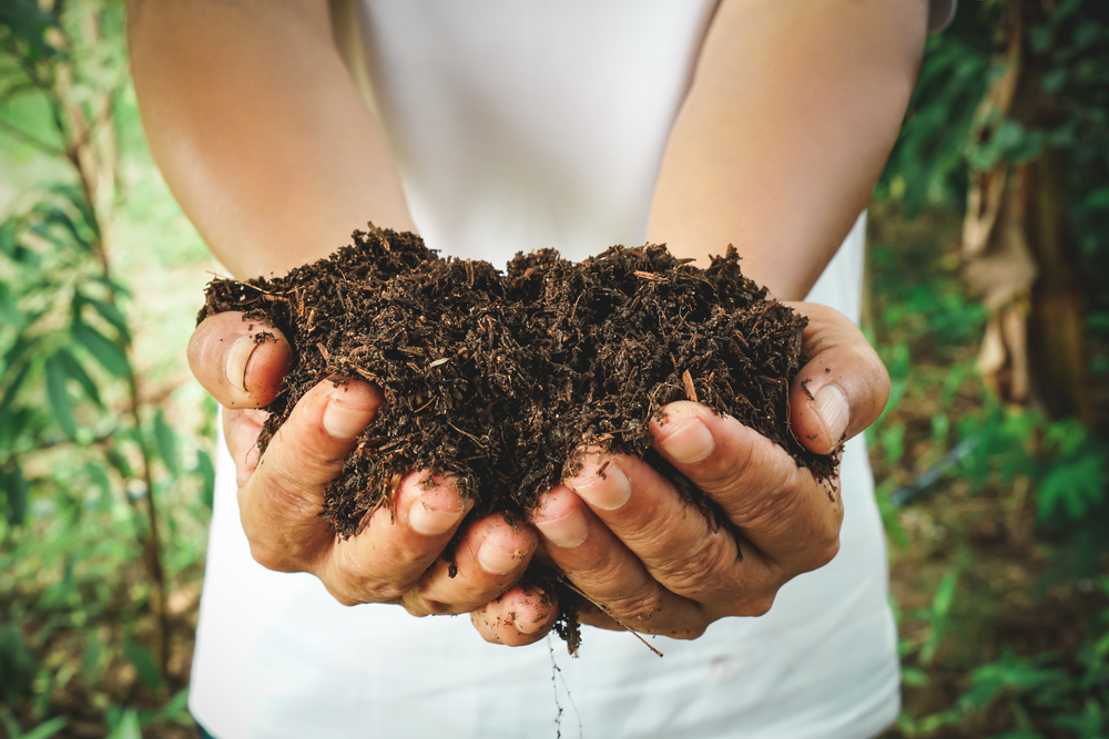 compost