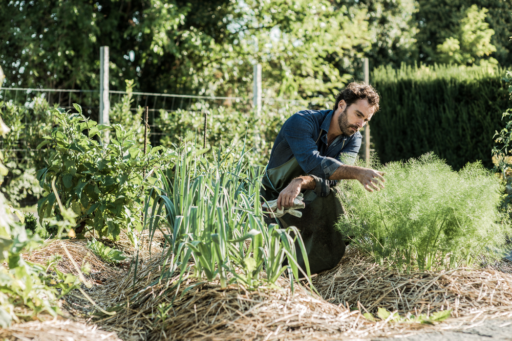 rotation permaculture